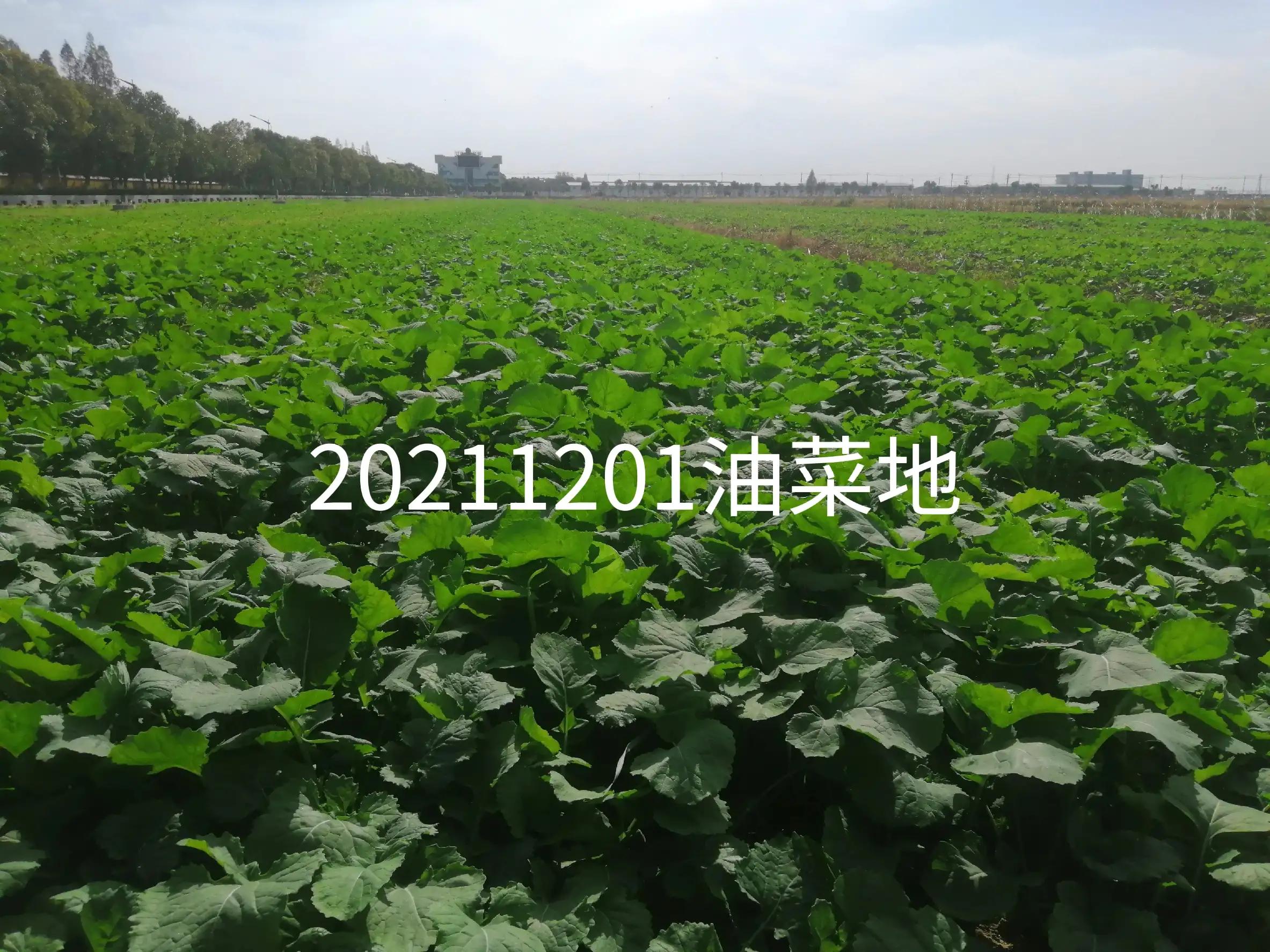 《七律｜和柳亚子先生》与《感事呈毛主席》之比较