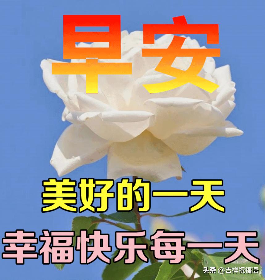 早上好表情包纯文字,夏日最新早上好表情包