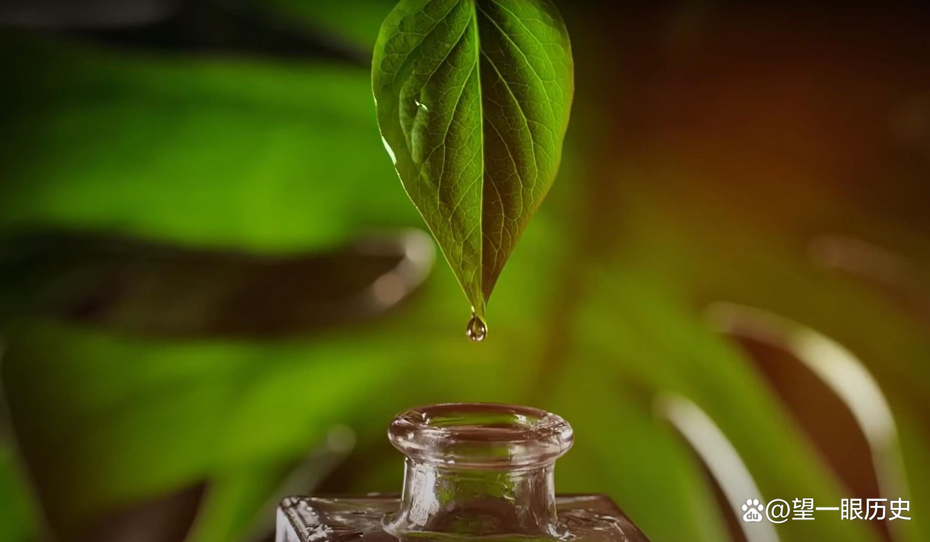 世界上最昂贵的液体，每升的血液值多少钱？告诉你答案