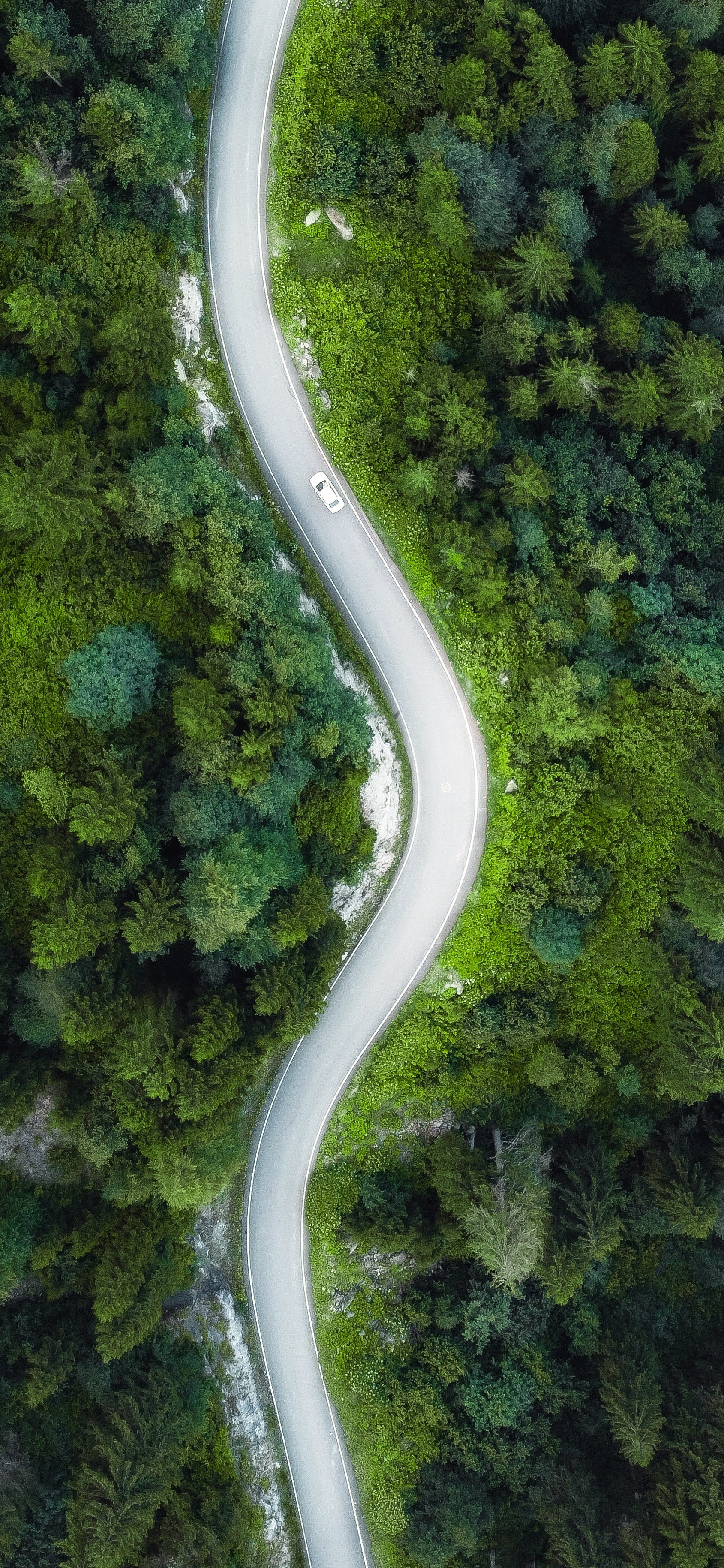 壁纸护眼好看的高清壁纸,华为壁纸绿色护眼图片大全高清