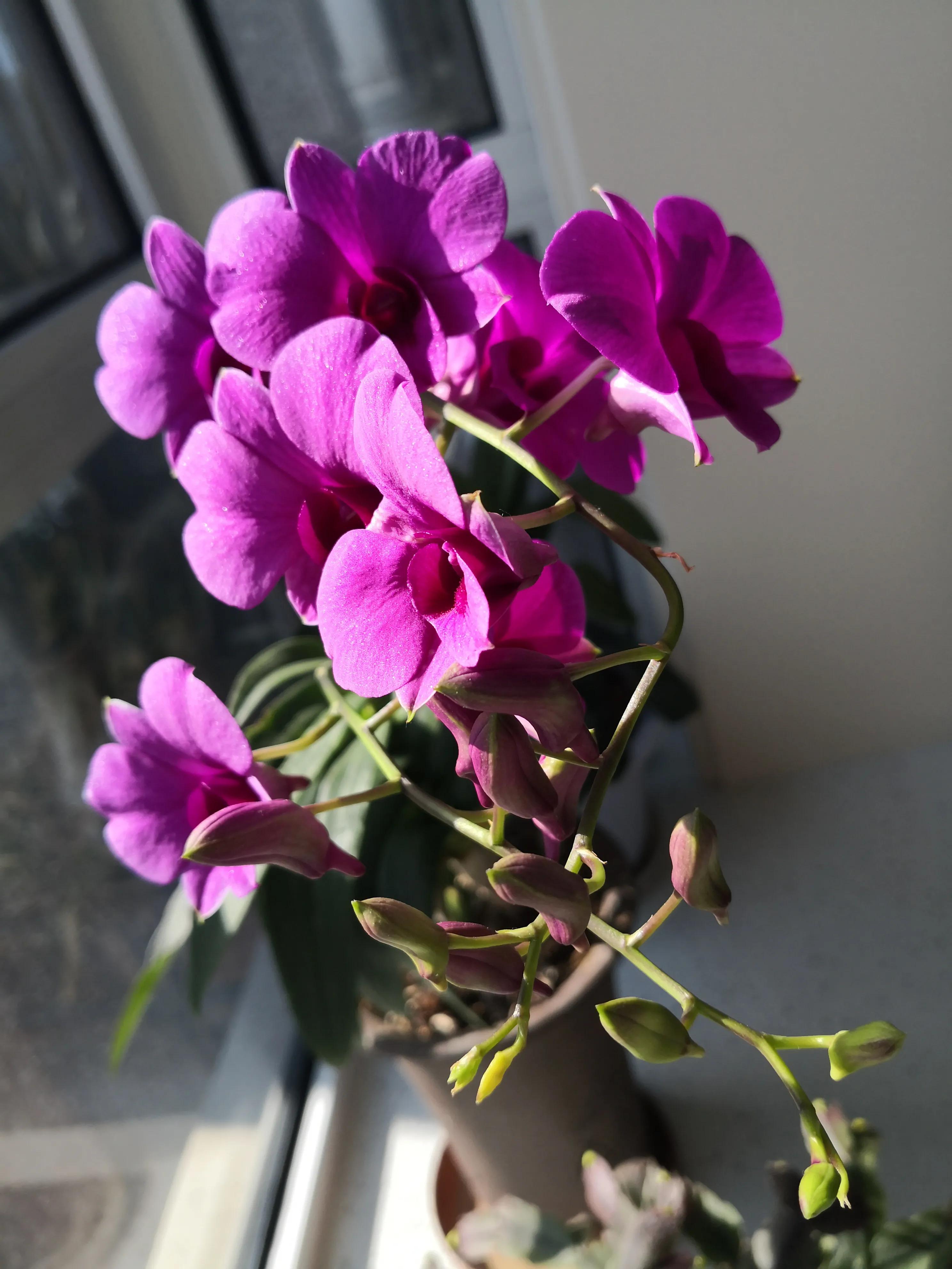 中国足球真相大揭秘,中国足球乱象实录