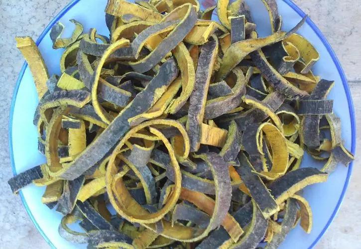 中医认为肛门瘙痒症的发病原因是什么？有何治疗建议？