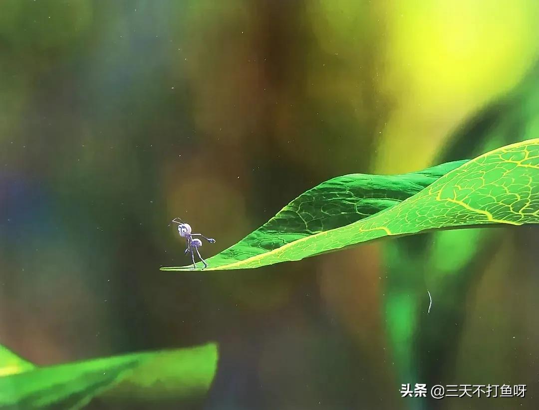 日本动画电影十大催泪治愈神作,最搞笑的10部动画电影免费最新