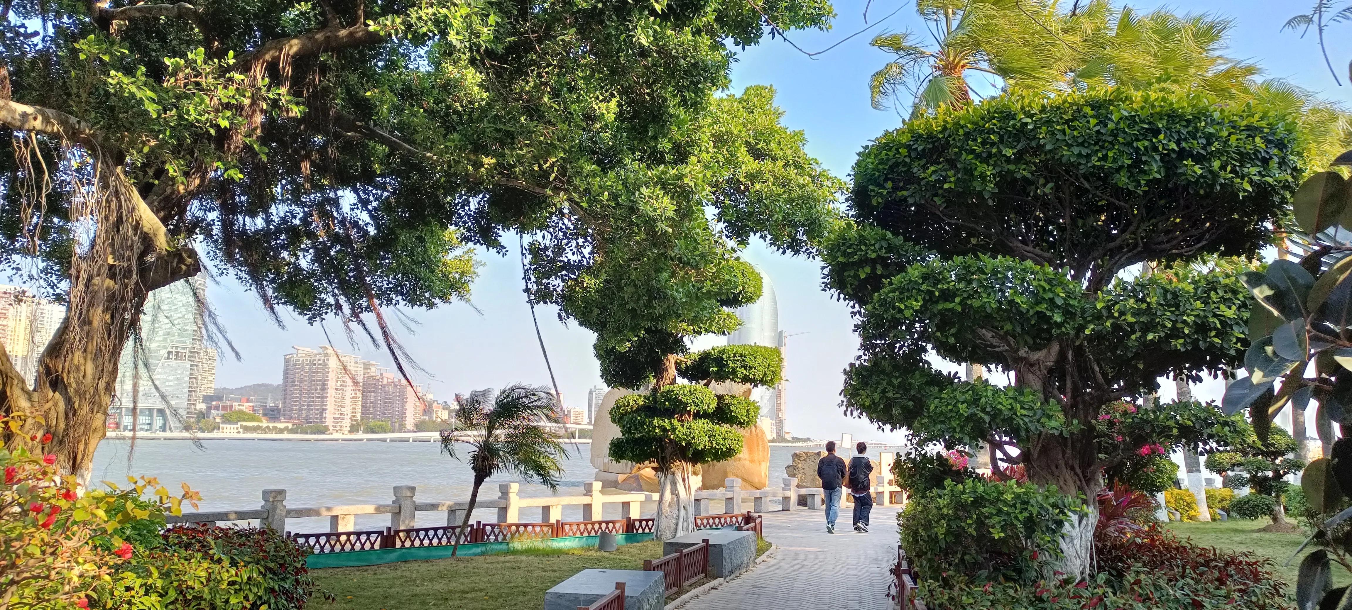 为什么去厦门都要去鼓浪屿,厦门鼓浪屿之行的感受