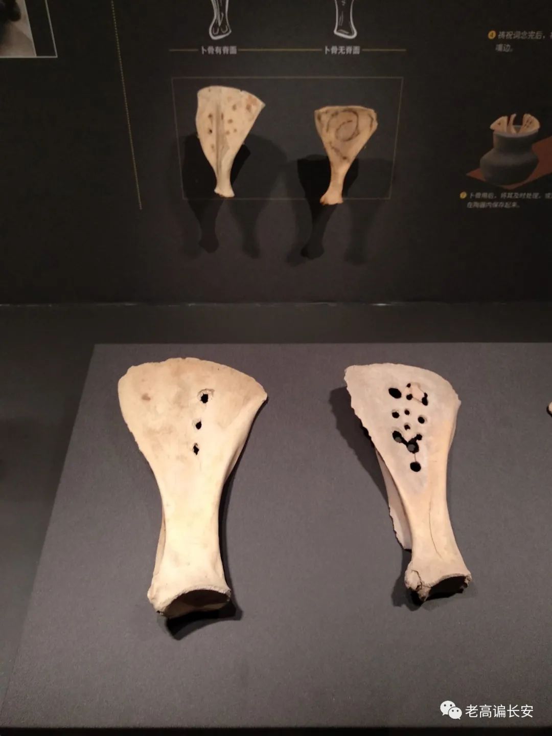 假期参观陕西考古博物馆,陕西考古博物馆开馆直播