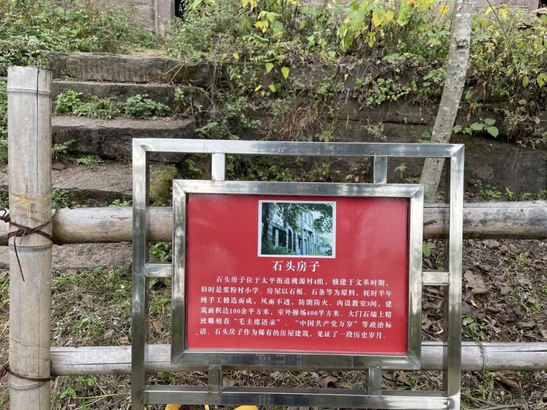 成都旅游豌豆尖,成都仰天窝近郊爬山推荐