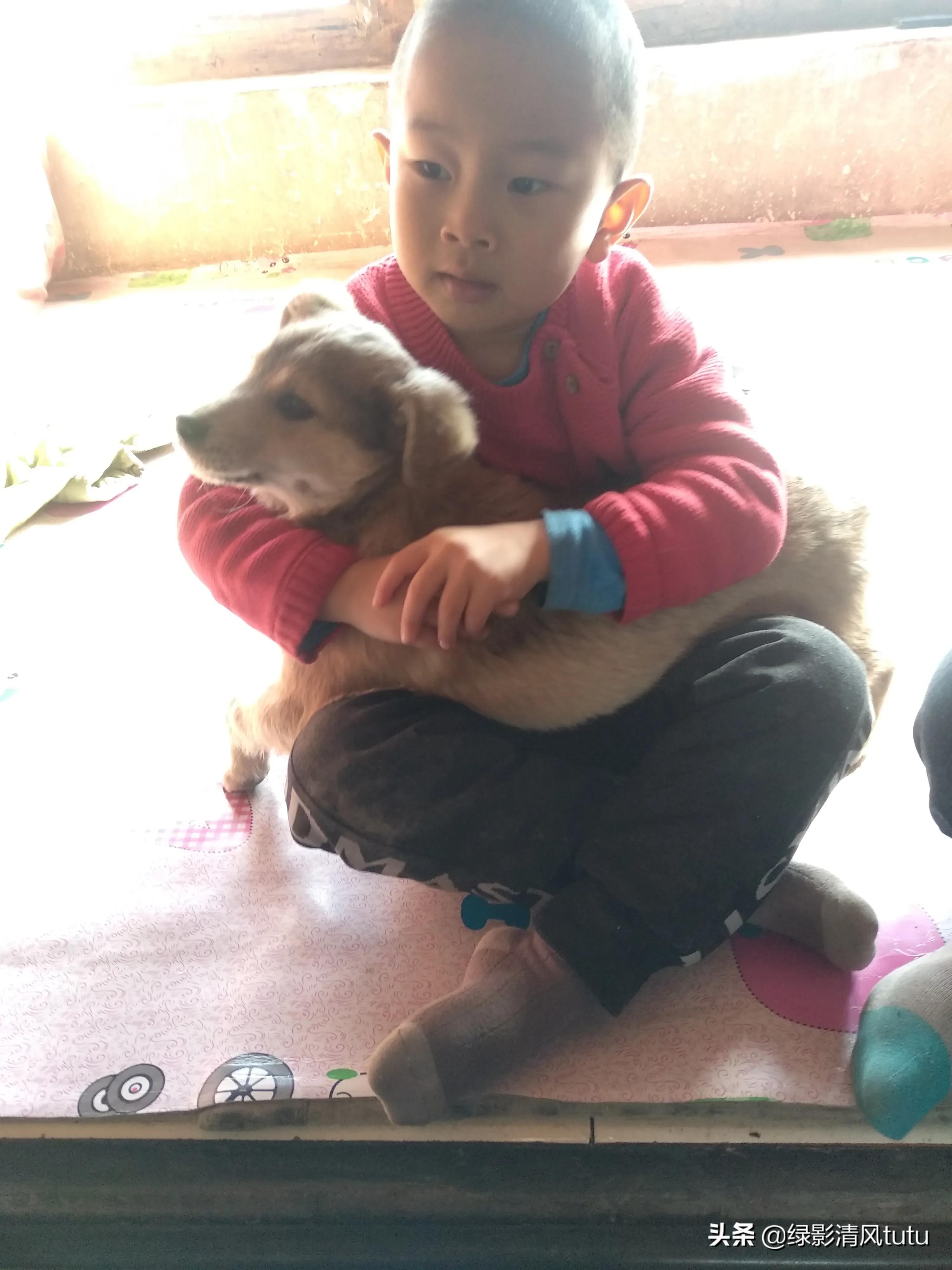 养不养孩子的区别,养宠物对孩子健康有什么影响