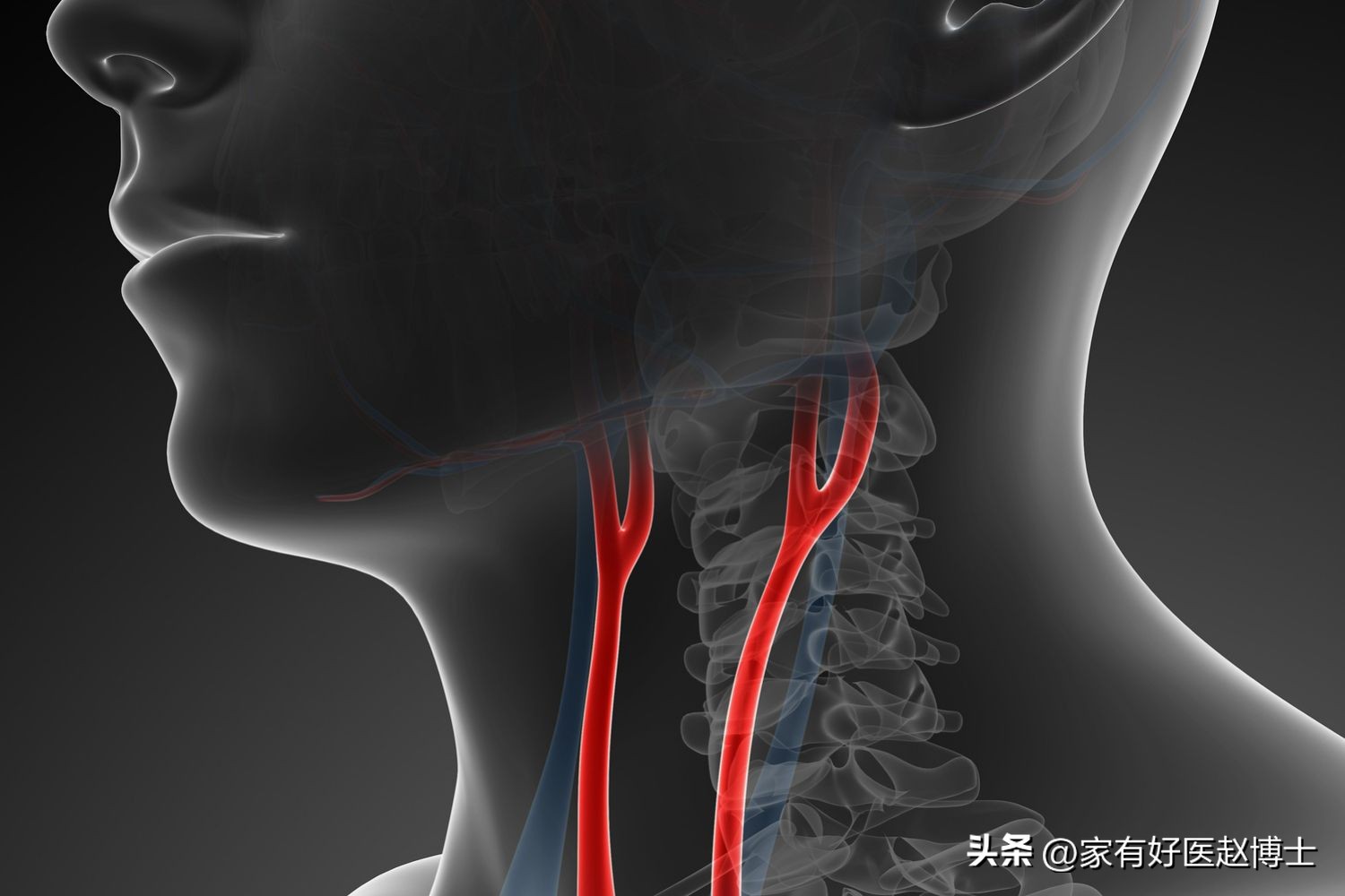 胆固醇正常以后他汀还要吃吗,胆固醇高吃他汀要一直吃吗