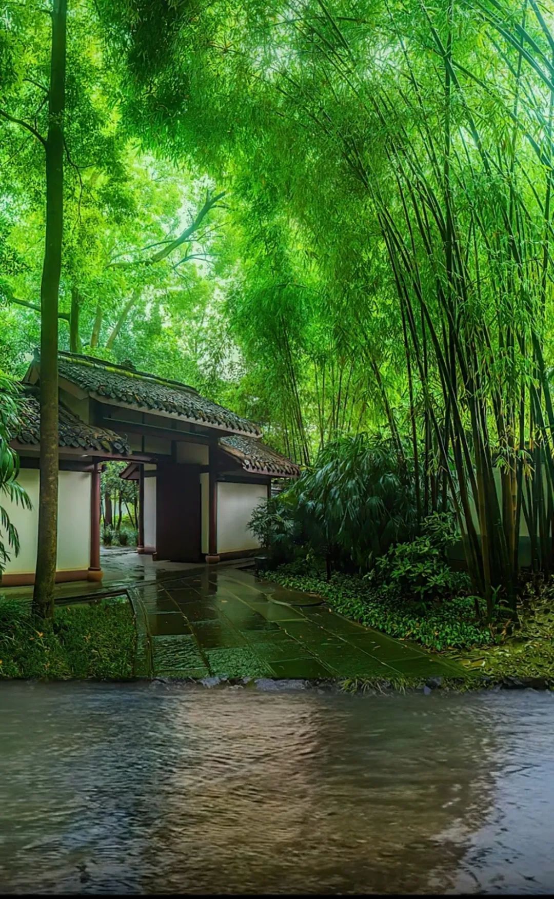 关于夏雨的好诗句十个,关于夏雨的经典古诗词