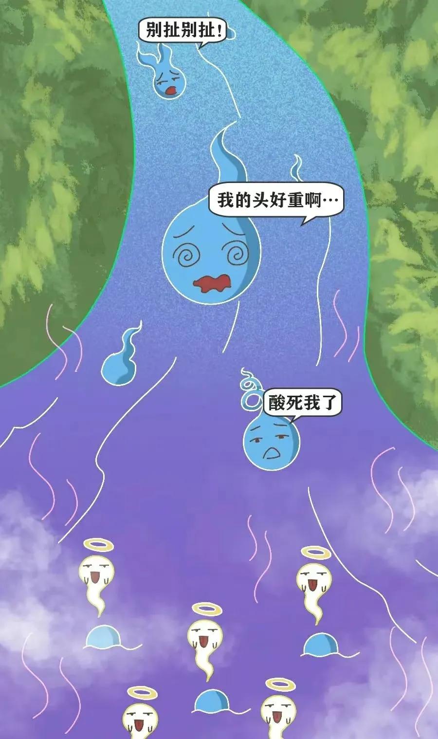 精子是怎么进入对方体内的，真是历经九九八十一难！