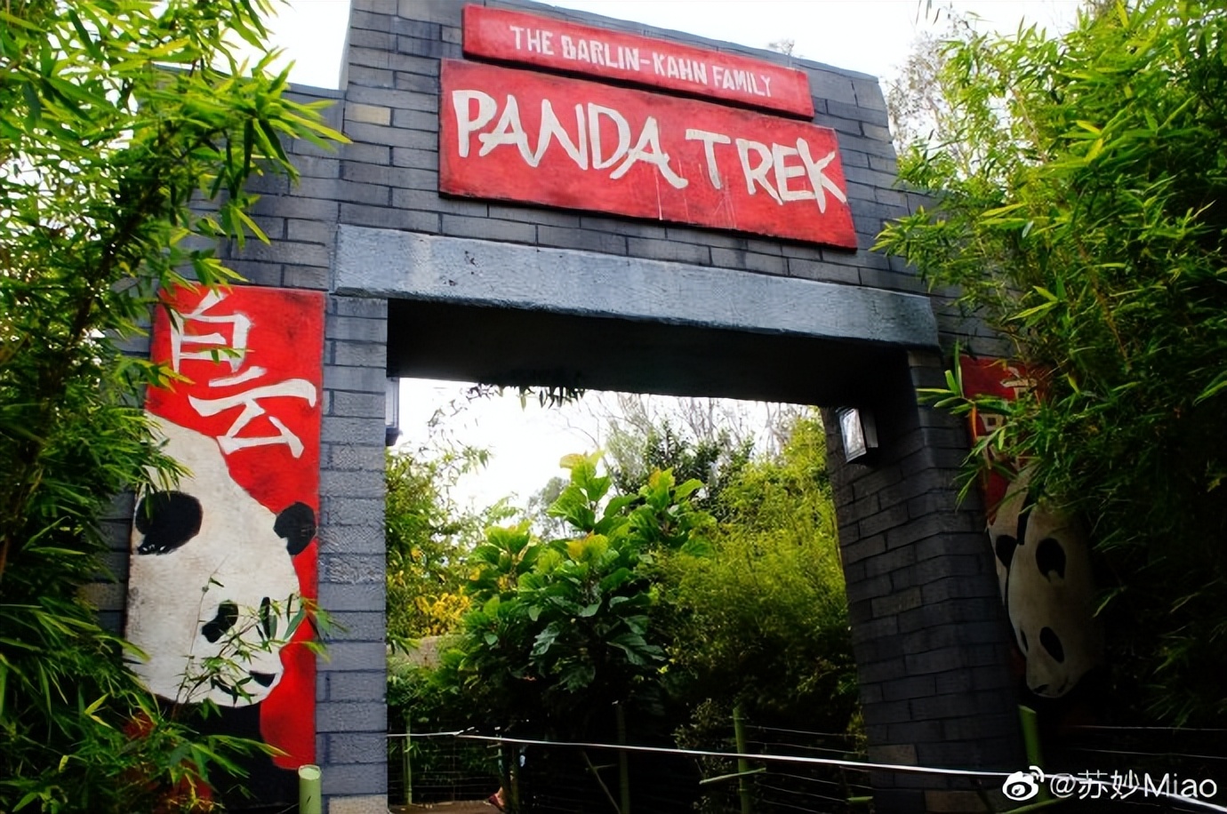 不高的高高和他不白的老婆白云——91年出生的童颜女神大熊猫白云