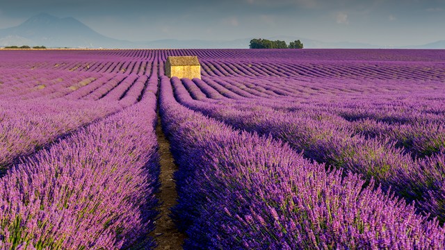 中美德日gdp对比,中美英法德gdp