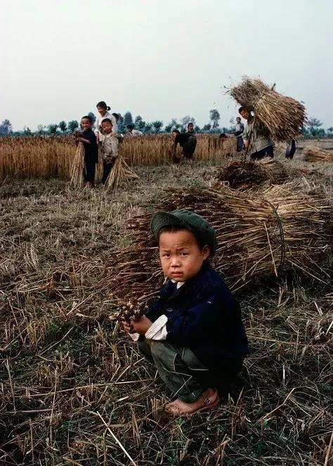 日军日记：男人饿倒在地，为了救他，我将他妻子的乳房割给他吃!