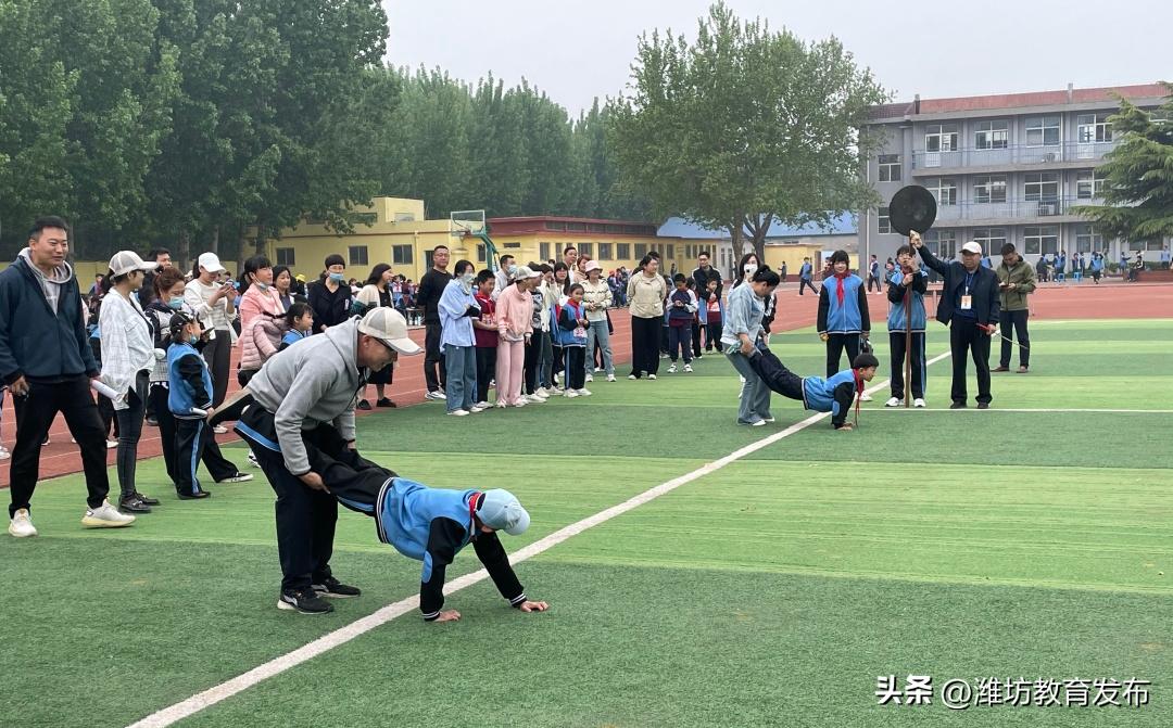 潍坊校园新闻播报,新闻周播报完整版