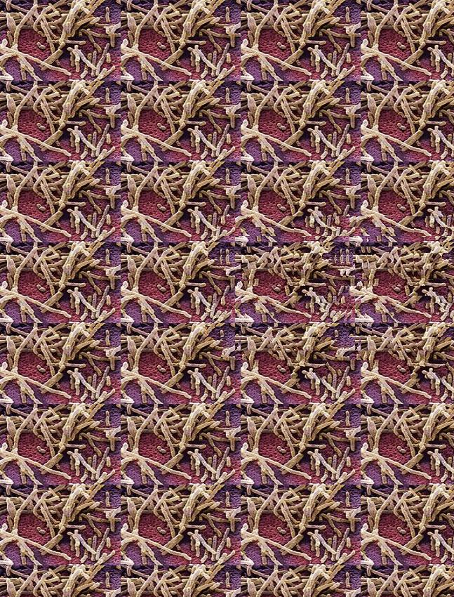 朋友网购收到一条坏的裤子，找客服后被质疑