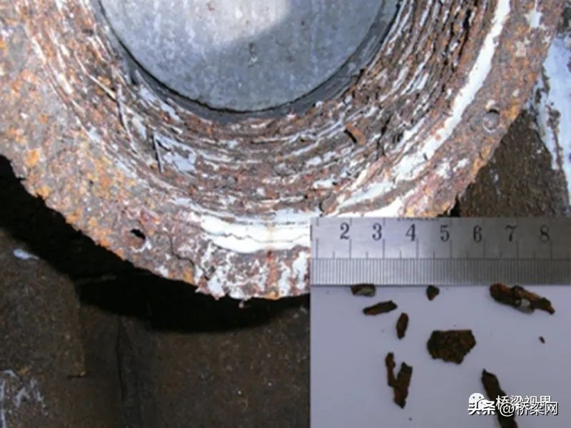 探“索”：不寻常的“辞旧迎新”——更换大跨径桥梁索专题访谈