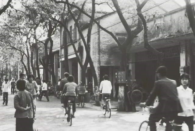 东莞被火化女孩得救十年后成画家,1995年东莞打工妹在殡仪馆火化