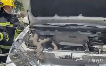 男子夜晚开车惊见巨蟒挡道,两男子路上遇到眼镜王蛇