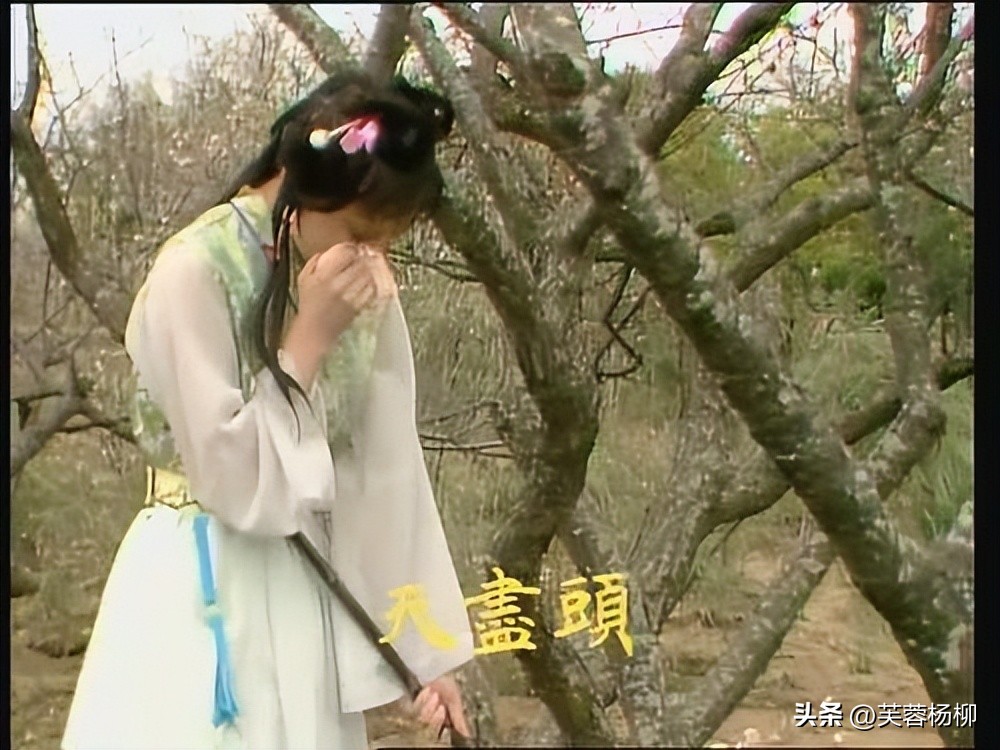 林黛玉陈晓旭葬花,陈晓旭评价黛玉哭了