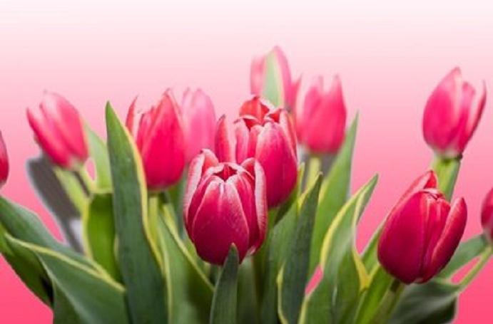 为什么女人就一定要嫁人呢,女人一定要嫁豪门的吗