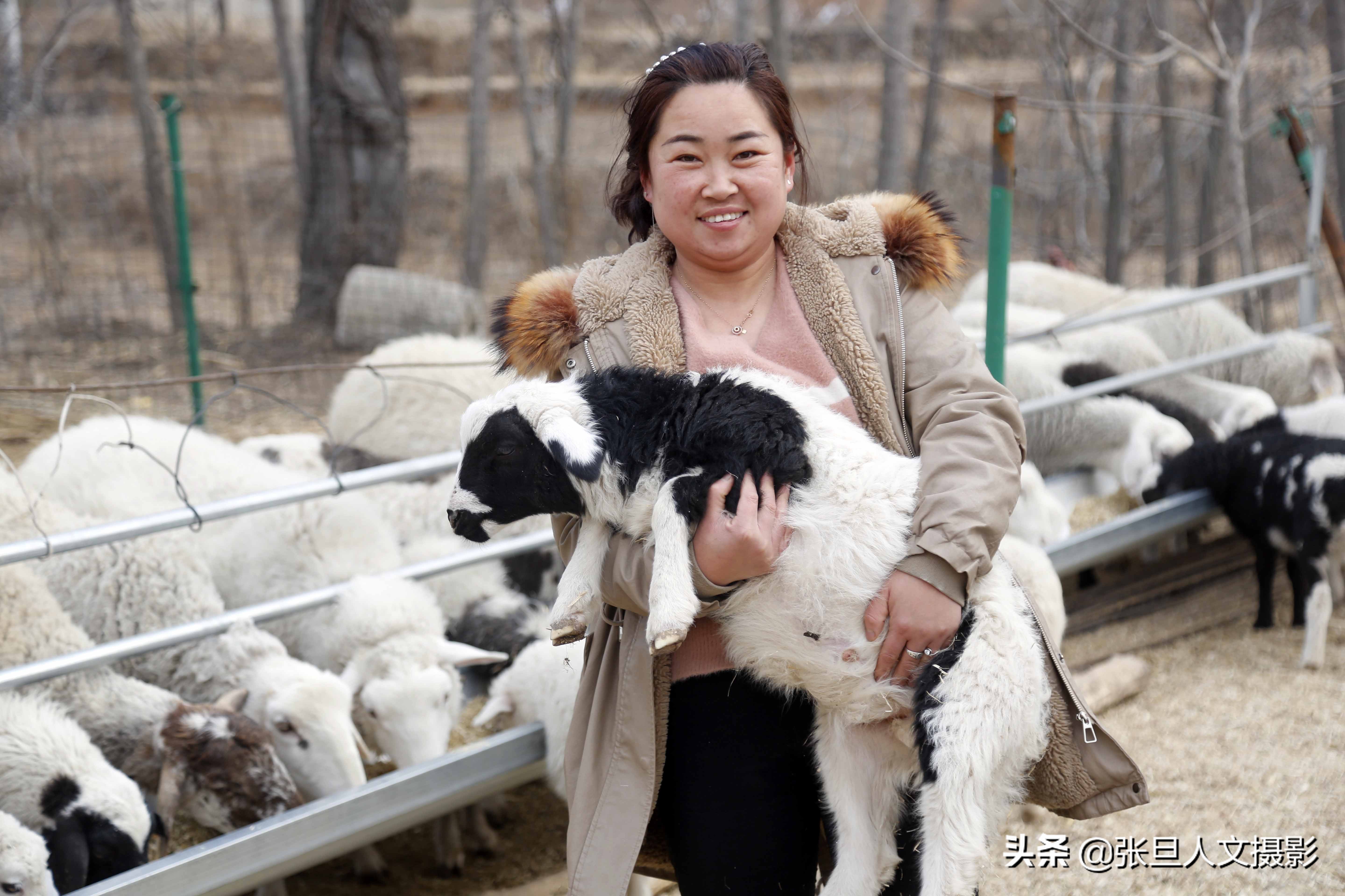 回村创业致富好项目,山西农村创业致富