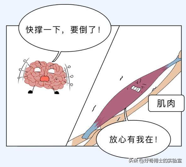 为什么坐车睡觉还是很累,为什么长时间坐车很容易伤腰