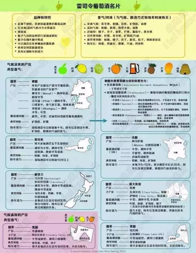 葡萄酒基础知识教程电子版,葡萄酒器具大全