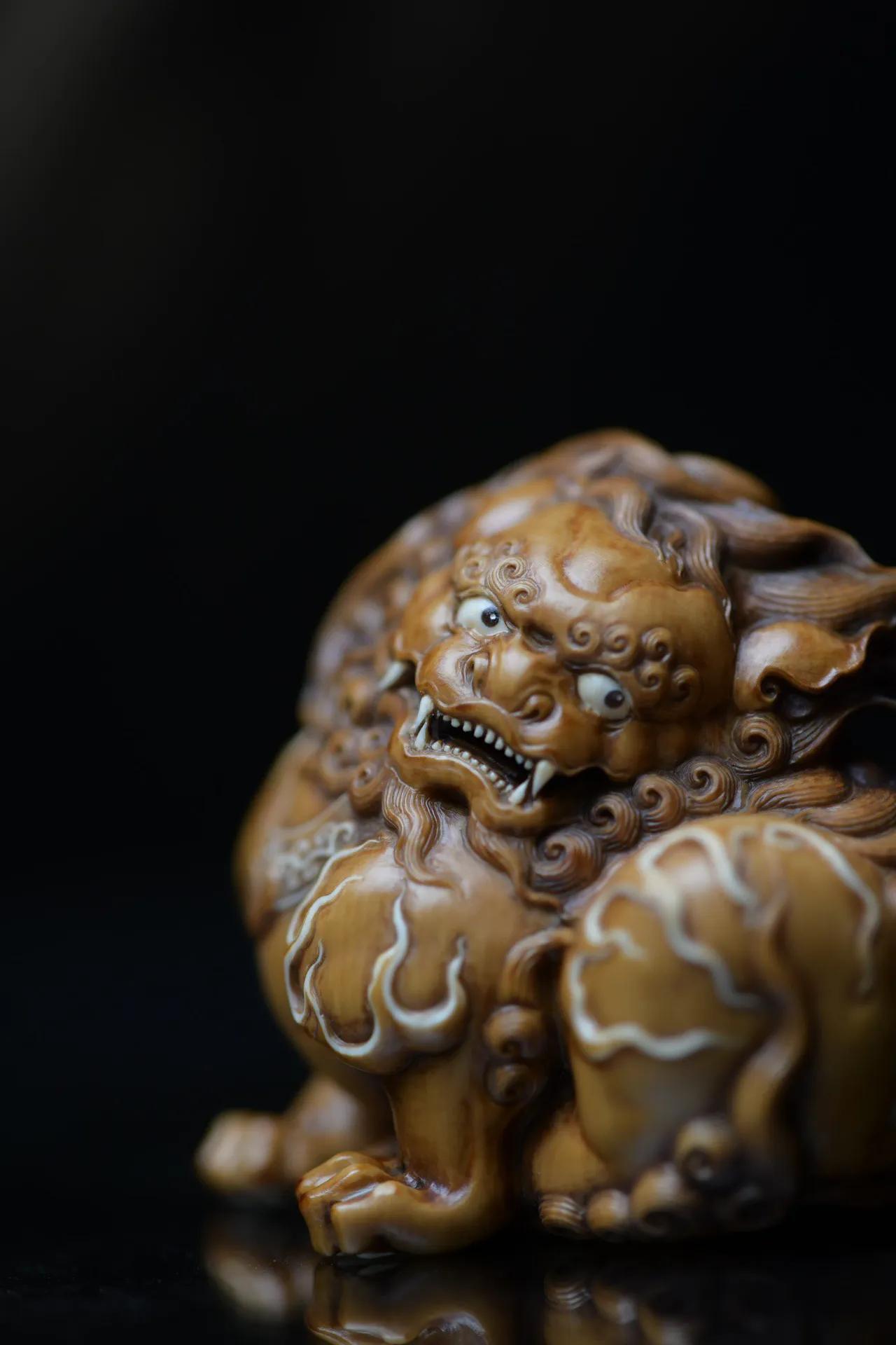 松狮犬的寿命有多长,松狮犬