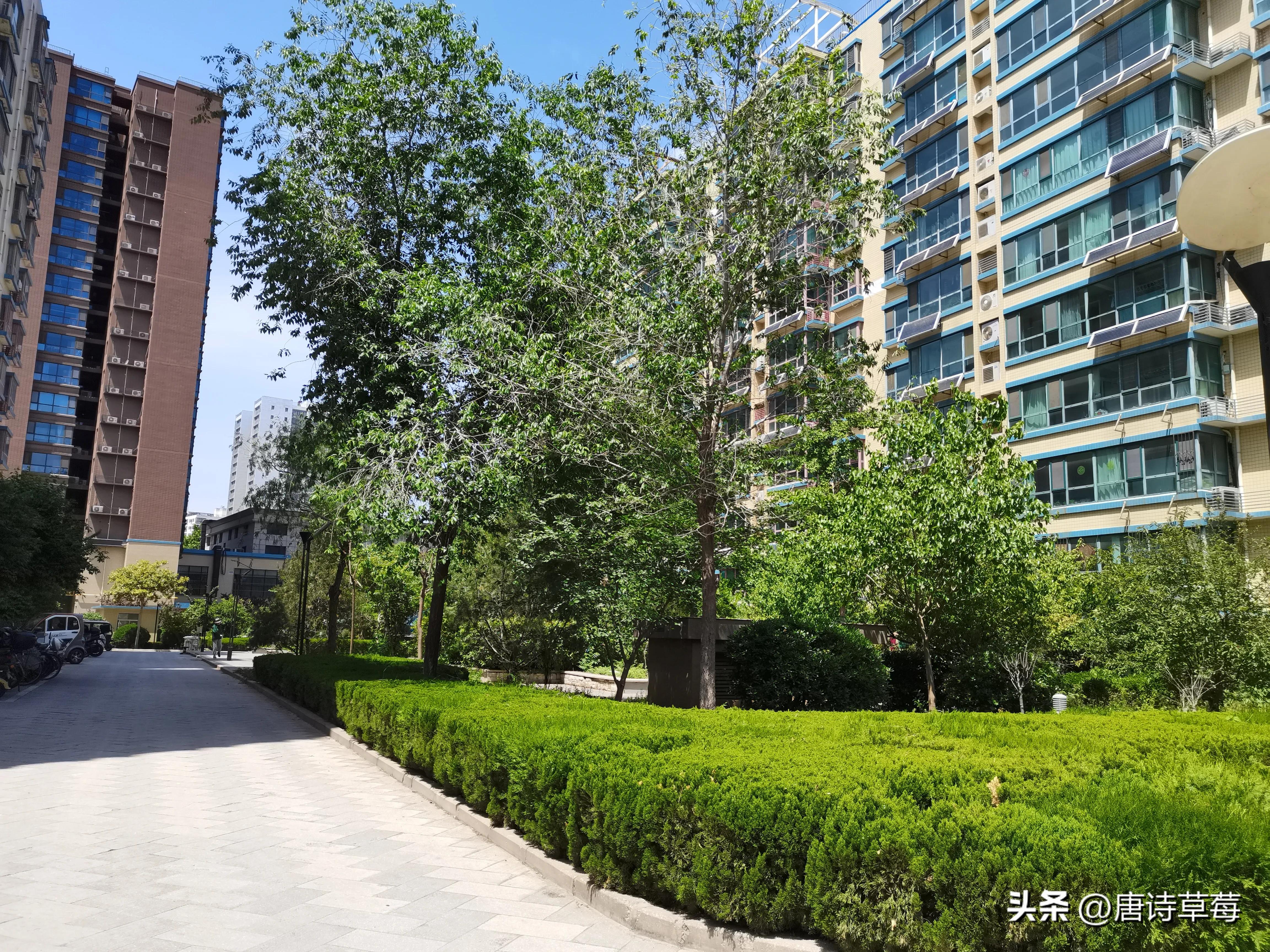 经营小超市的方法与技巧,楼下小超市的经营技巧