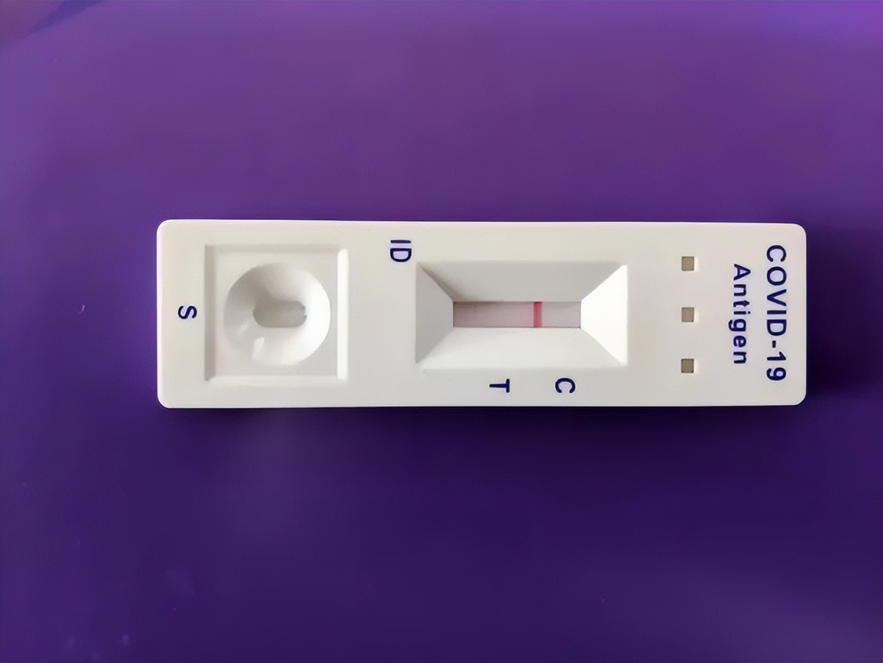 冬天来了春天还会远吗二年级,冬天来了春天还会远吗最佳配图