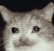 几年前倒闭的蛋糕店,盘点上海那些倒闭的蛋糕店