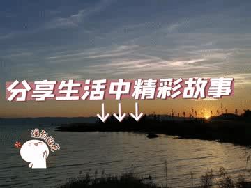 迪拜小伙被骗,创业小伙被骗1500元