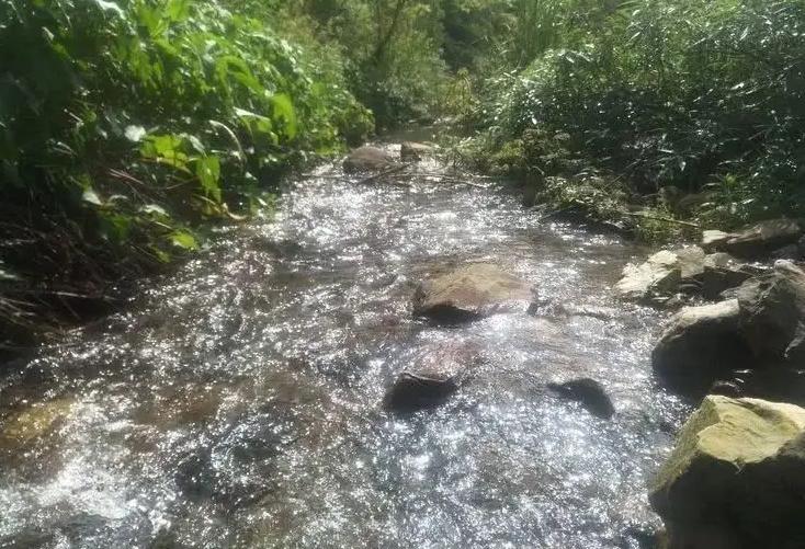 阳宗高铁站什么时候投入使用,阳宗为什么要修高铁站