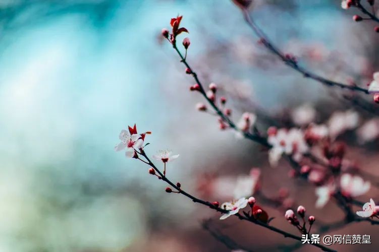 春季复苏万物生长的诗词,春来百花开的诗词