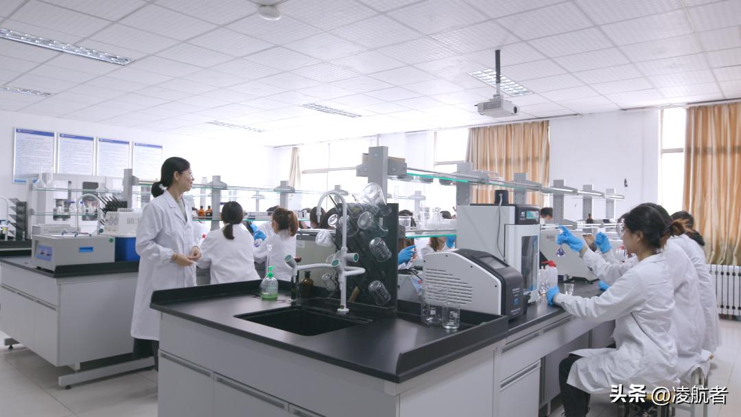 致萌新的学长学姐寄语,致学长学姐的一封信