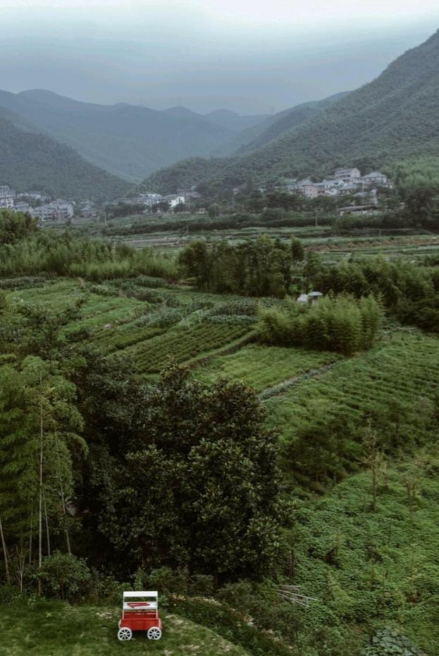 避暑胜地有哪些莫干山的民宿,莫干山避暑农家乐住宿