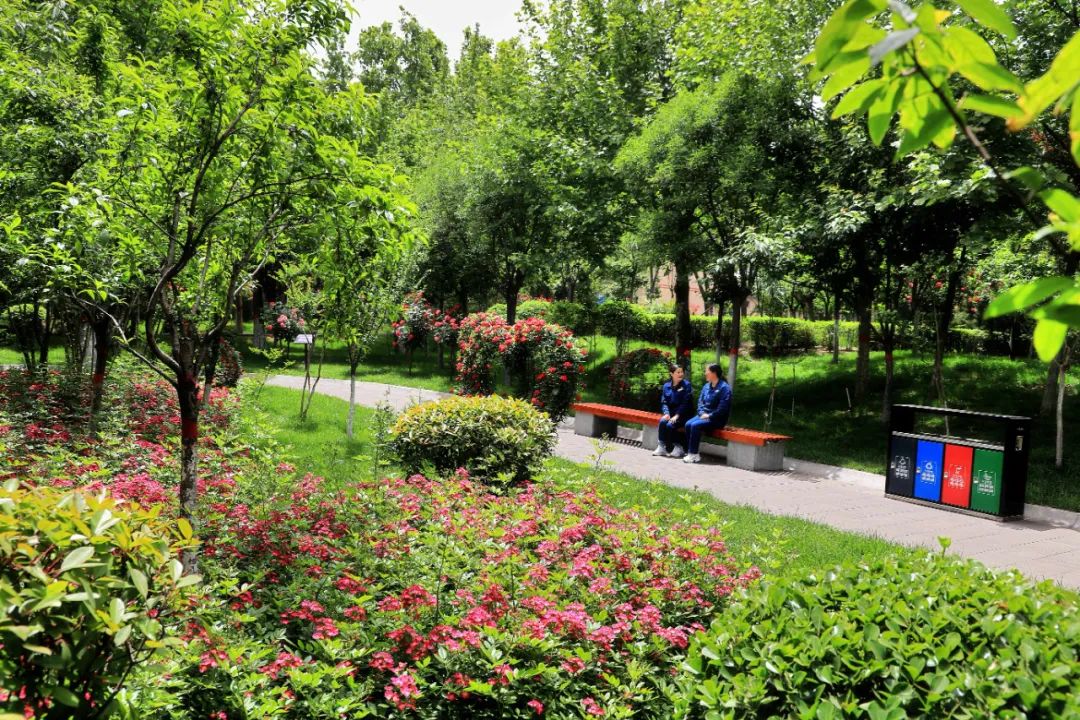 走进绿色生态园的视频,走进绿色矿山珍惜自然资源图片