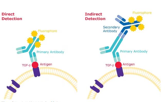 默克微生物检测,默克完整性检测仪