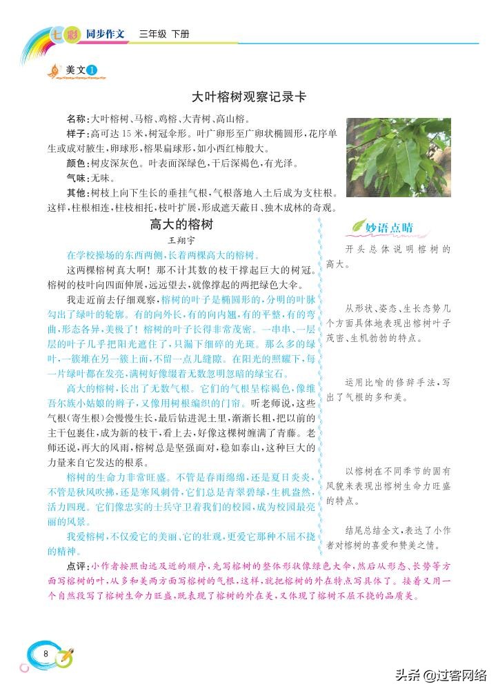 三年级下册语文七彩作文,七彩同步作文三年级下册