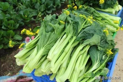 冬天适合吃的高叶酸食物,春天吃这七种蔬菜养肝
