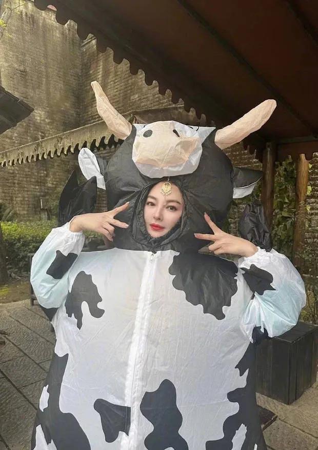 张雨绮百变大咖秀,张雨绮热搜造型