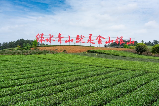 农业执法大队到底管什么的,农管执法大队到底是干嘛的