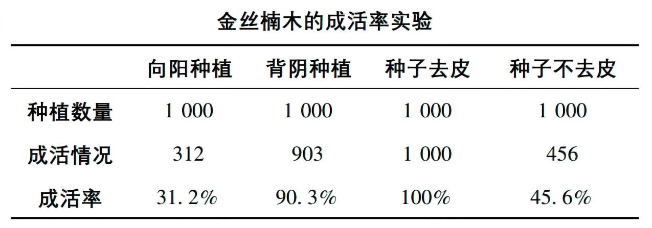 金丝楠树苗多少钱一棵50年能长大,金丝楠树价格多少钱一棵