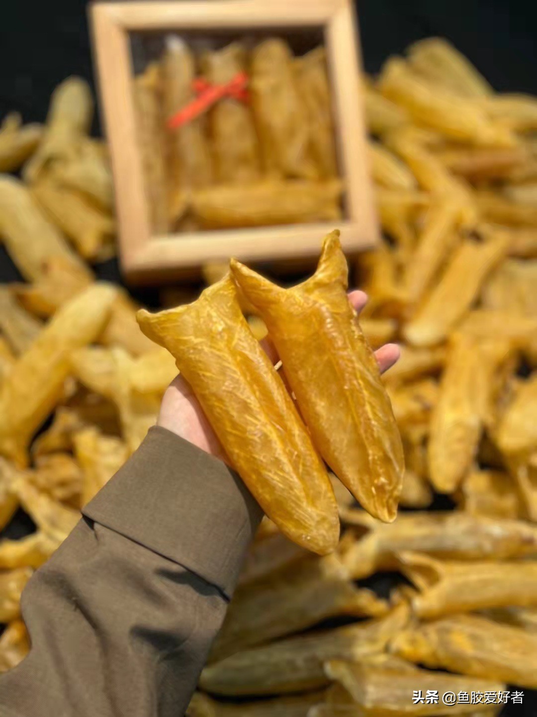 什么样的鱼胶不建议买,不建议入手的鱼胶