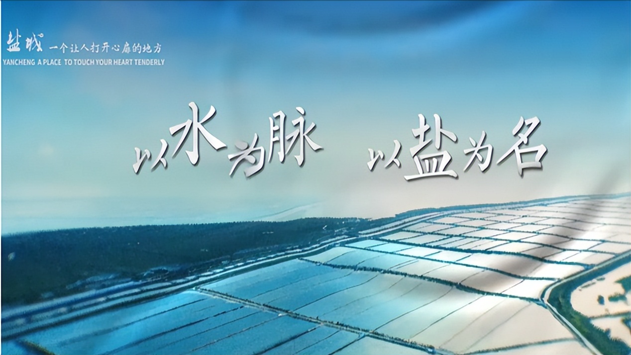 盐城千亿级县区,盐城一座打开心扉的城市图片