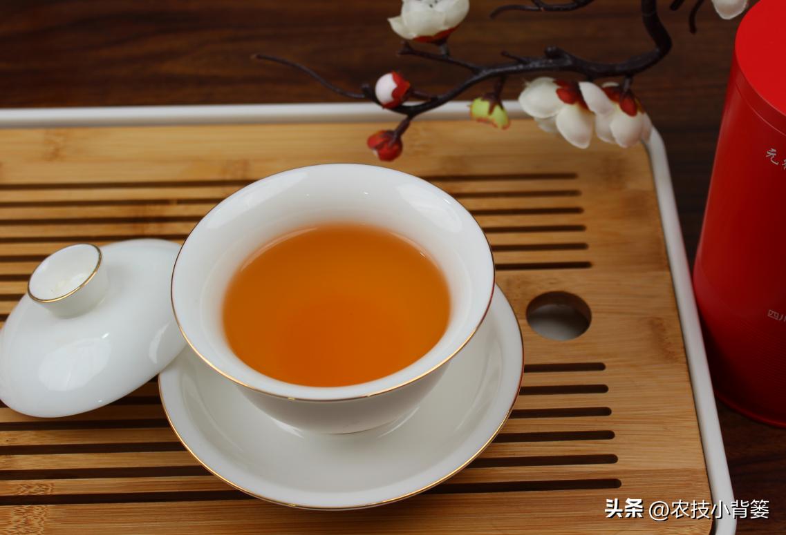 适合秋冬喝的3种茶,春季适合喝的3款时令茶