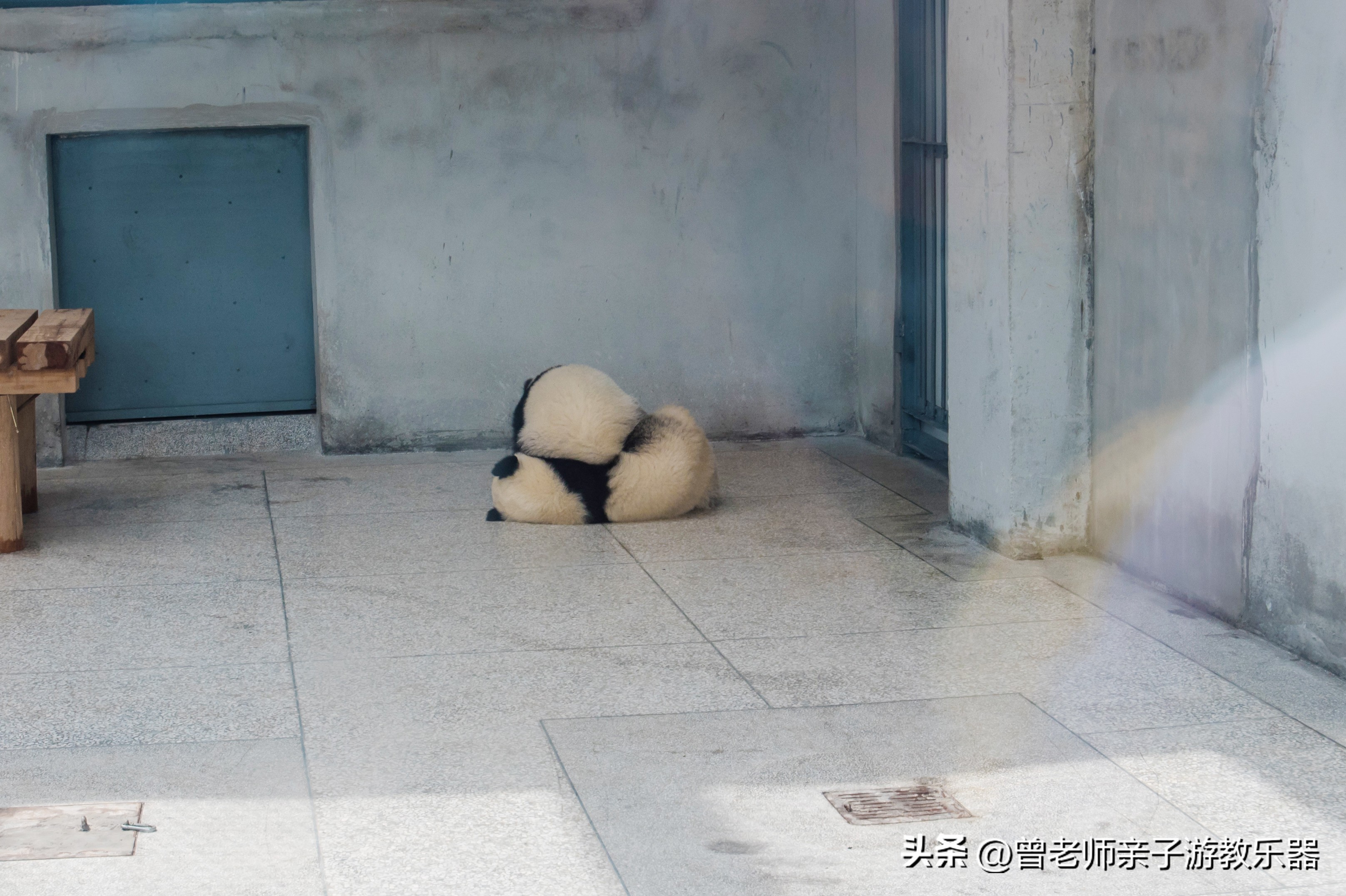 西安旅游五大必去景点秦岭,西安秦岭风景区旅游攻略