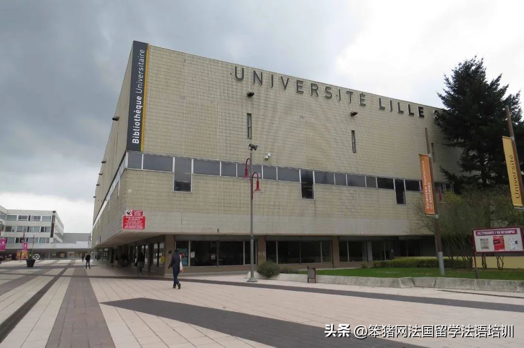 首次发布！法国20所公立心理学院系排名，巴黎西岱大学实力最强！