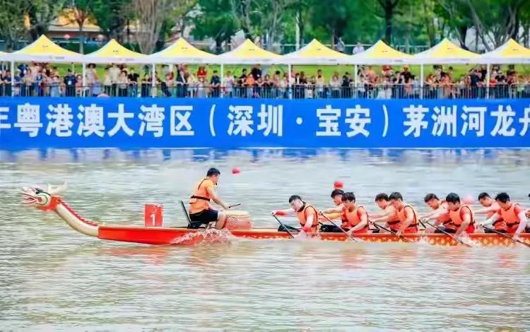 粤港澳龙舟赛直播,深圳粤港澳龙舟赛直播