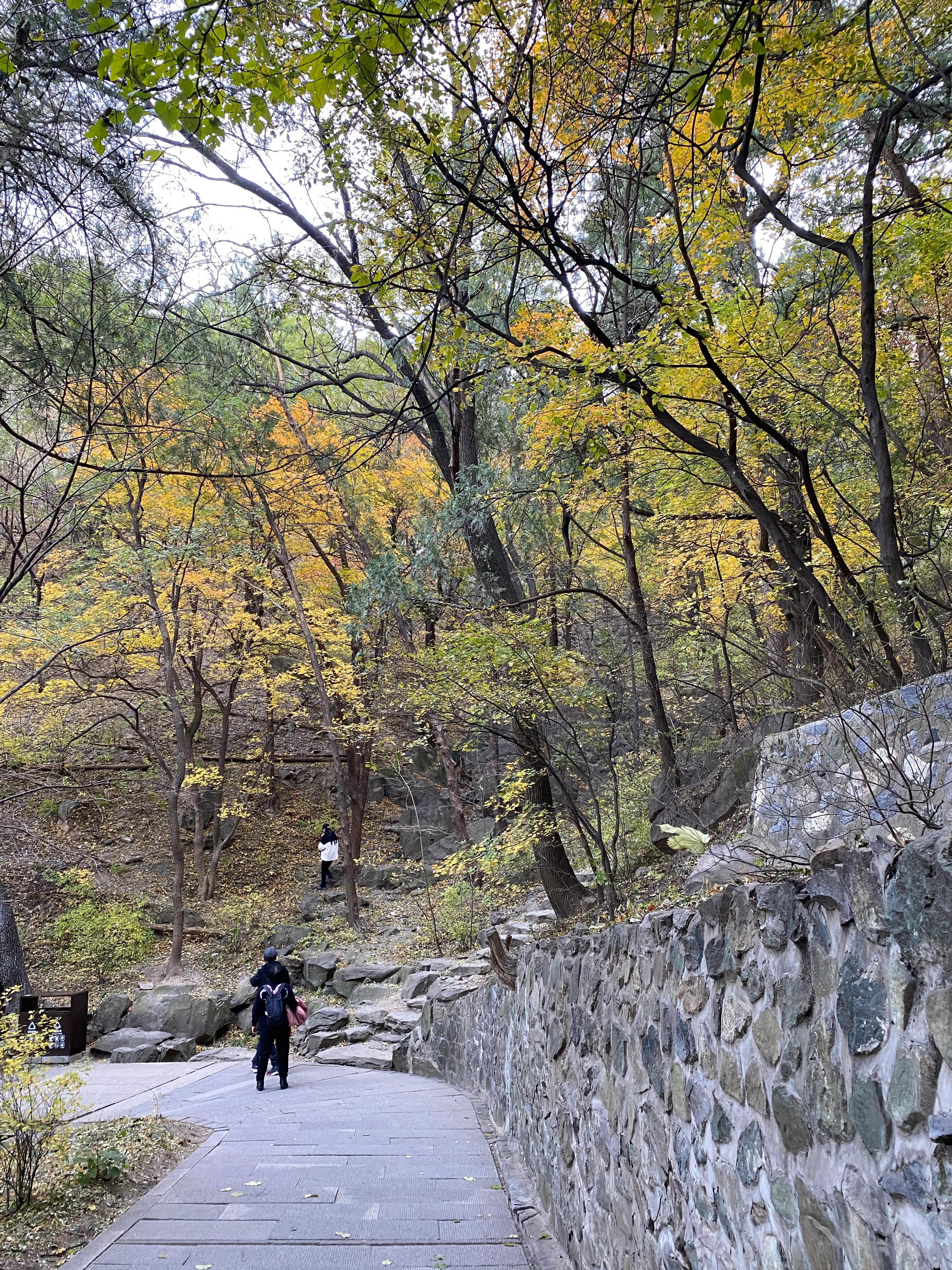 香山风景区打卡攻略,北京香山公园打卡